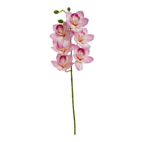 CIMBIDIUM 6 FIORI CM.68 ROSA